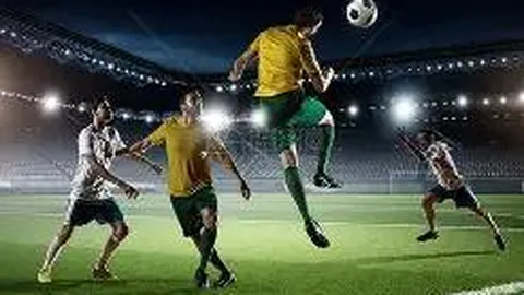 神殿娱乐 产品 083531 50t