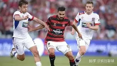 神殿娱乐 资讯 143541 ocx