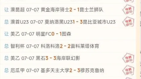 内卡萨客场挑战：胜败之谜究竟何在
